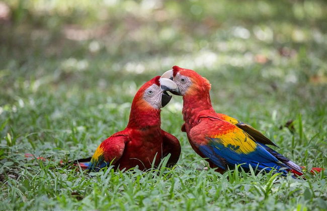 Casa Lilu - Adults Only - Foto 43