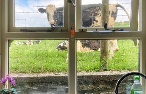 Spoutscroft Cottage - Foto 4