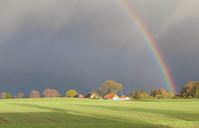 "Harre" - 300m from the sea - Foto 23