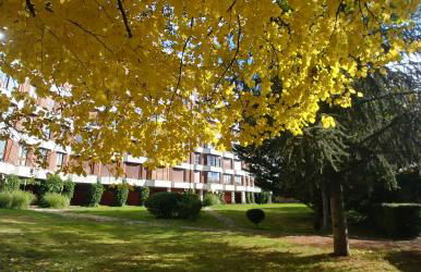 Apartamento La Muralla parking gratis - Foto 16