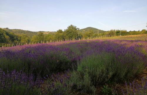 #3MTSOPRAILCIELO '' SCuLPTuRe '' - Foto 71