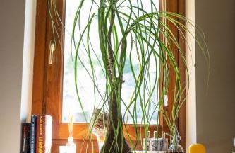 Cathedral-luxury-stay sauna & massage - Foto 19