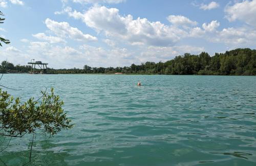 Badischer Neubau-Ruhe-Kunst-Natur - Foto 74