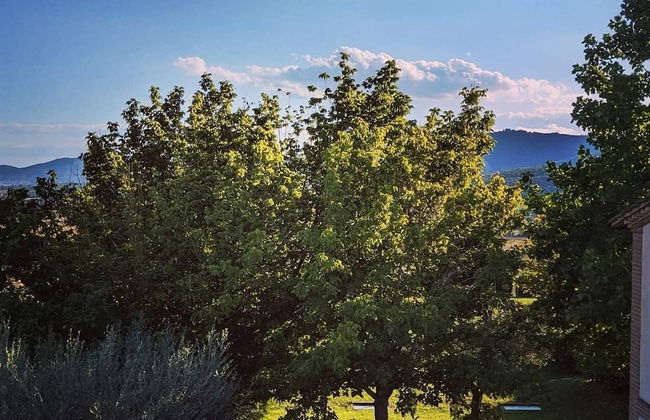 La Fonte di Montebuono - Foto 62