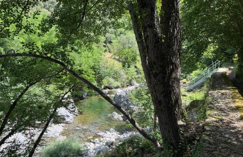 Les Cèdres - Foto 62