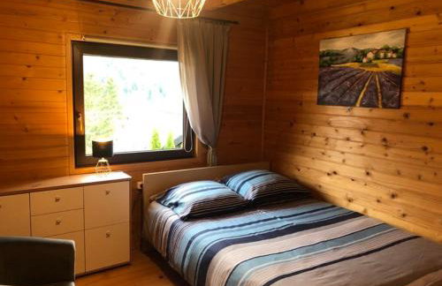 Solina - Jezioro Solińskie - Domki - Photo 13