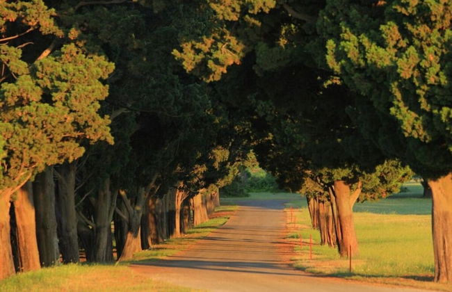 Cosy Apartment in Istria - Foto 25
