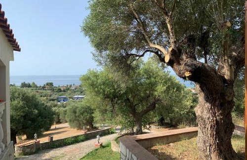 Olive stone Villa - Foto 36