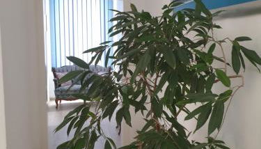 Marumparkblick - Foto 2