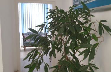 Marumparkblick - Foto 2