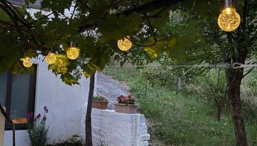 Sevastie’s home - Foto 5, Garden