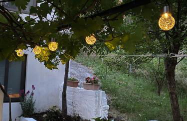 Sevastie’s home - Foto 5