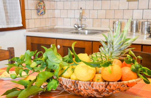 La Grande Palma - Foto 24