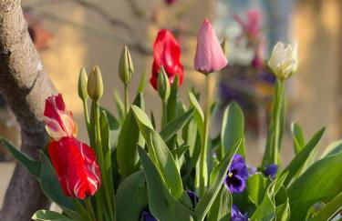 CLUA Holiday House - Photo 22