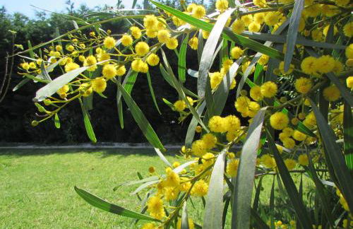 Quinta Sobral Prestige - Little Rustic - Photo 24