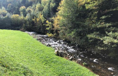 2 Zimmer Wohnung, mit Sonnenterasse - Foto 34