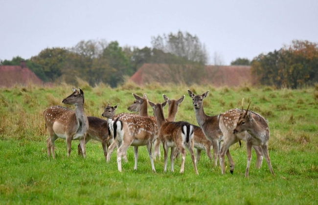 Middelfart Home- Nearby Free Waterpark Access - Foto 16