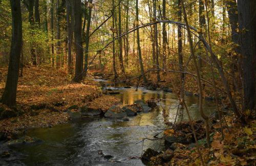 Ferienhaus Jägerhaus Oppach Privathaus - Foto 25