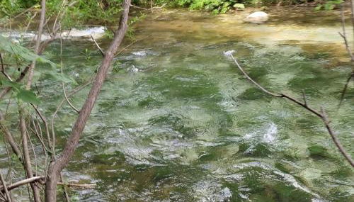 la masseria di Antonio e Teresina - Foto 2