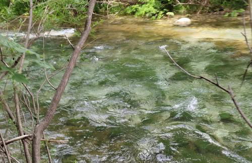 la masseria di Antonio e Teresina - Foto 2