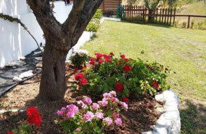 Ases Villa Lagonisi Halkidiki - Foto 29