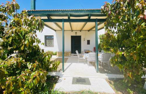 The Green Home - Foto 16