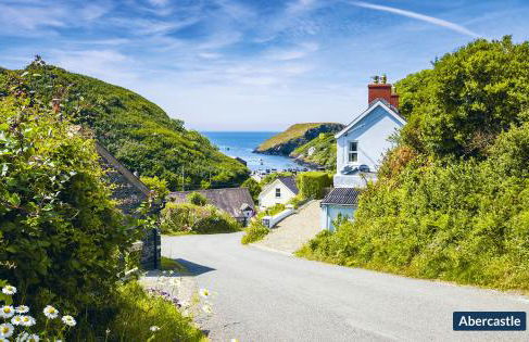 Llwyndyrys - Foto 35