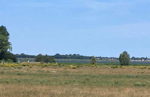 Boddenperle - Foto 11