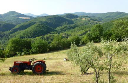 Casa Casimiro - Photo 17