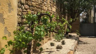 Gîte au coeur d'un domaine viticole - Foto 3, Garden view