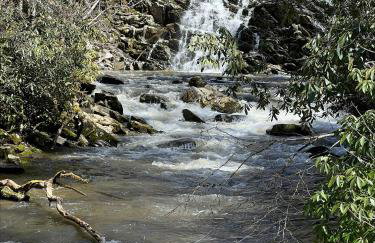 Bear's Mountaintop Home with Gorgeous Lake Views chalet - Foto 39