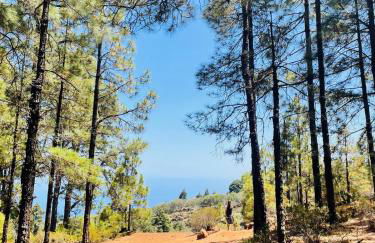 Apartamento Atlantico - Foto 52