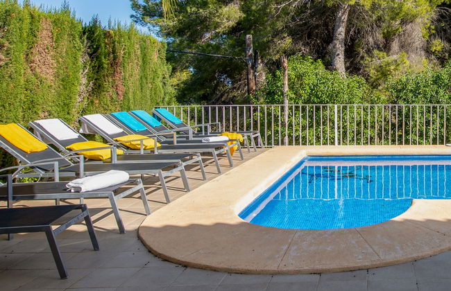 Eucaliptus - Foto 28