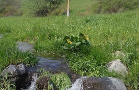 Ferienwohnung Birke - Foto 26