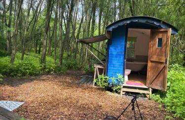 Nightingale Camp private Glamping with hot tub - Foto 41