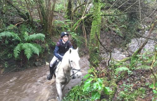 Finn Cottage - Foto 29