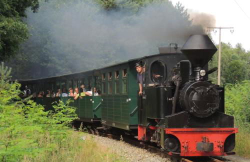 Ferienwohnung Starke - Foto 20