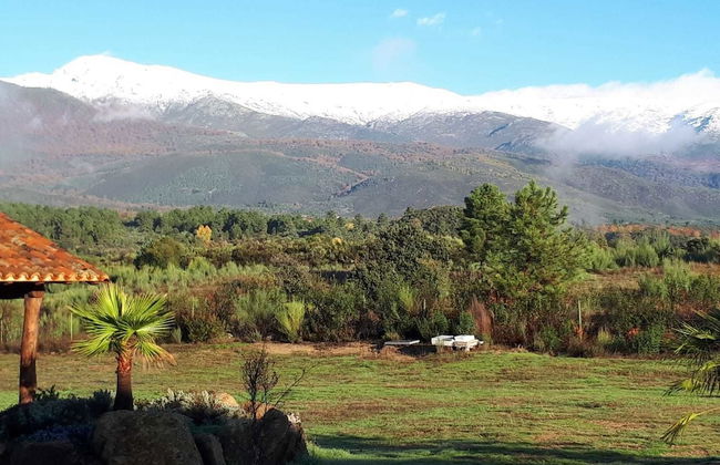 Sakura Vera - Foto 51