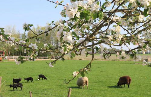 Ferienhaus Seeschwalbe - Foto 23