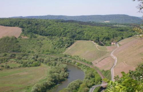 Holiday apartment in Konz with swimming pool - Foto 22