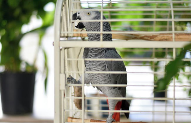 Kaya Apart Datca - Photo 77