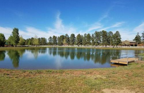 Cabin with Wild Horses, Fireplace, Dog Friendly & StarLink - Foto 17