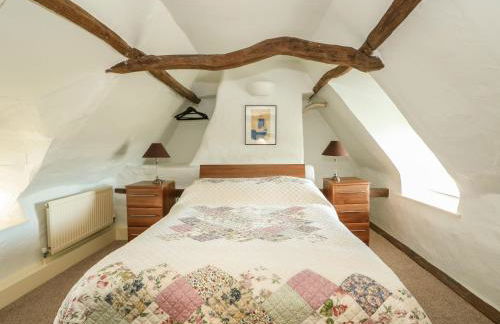 Bumble Bee - Photo 14