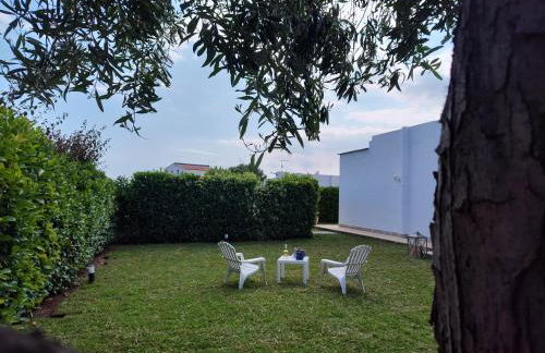 Endless Summer - Photo 20