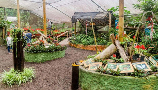 Escursione alla casa delle farfalle di Mindo