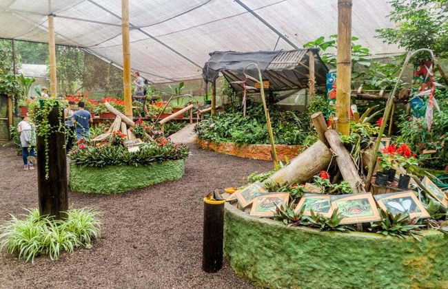 Excursion à la serre aux papillons de Mindo - Photo 2