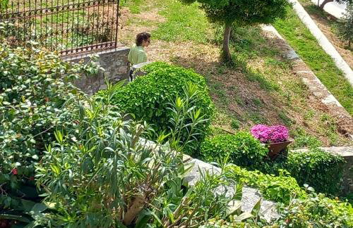 Milies Historic Chalet Pelion - Foto 58