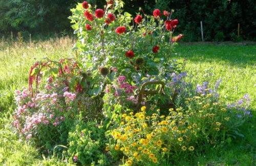 Apartment Landhaus Wildfeuer by Interhome - Foto 7