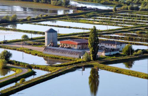 Studio Apartment Lea - Foto 30