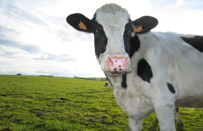 Holiday Home in Houffalize Near Nisramont - Photo 40